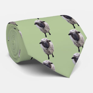 Curious Sheep Tie