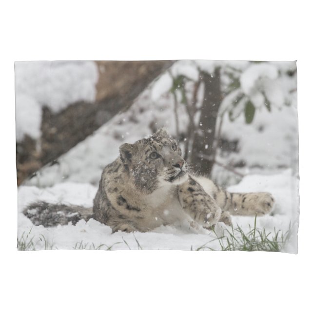 Curious Snow Leopard in Snow Pillowcase (Front)