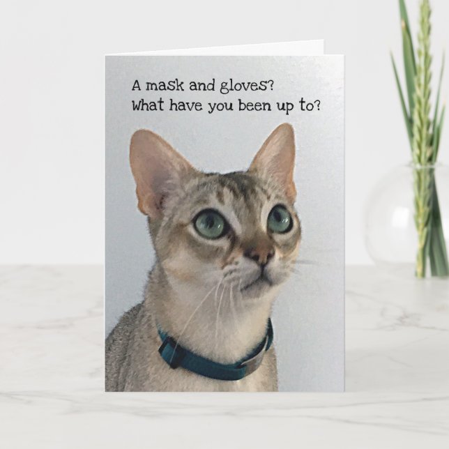 Curious Social Distancing Cat Card (Front)