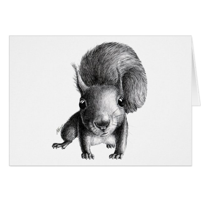 Curious Squirrel (Front Horizontal)