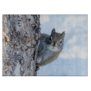 Curious Squirrel, Canadian Animal Photography Cutting Board