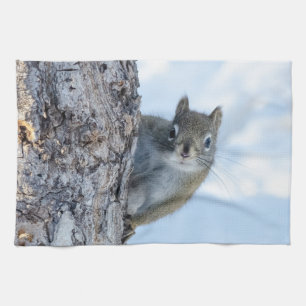 Curious Squirrel, Canadian Animal Photography Tea Towel