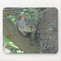 Curious Squirrel in Tree with Your Initials