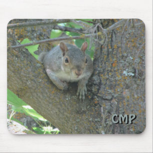 Curious Squirrel in Tree with Your Initials Mouse Mat