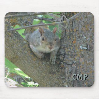 Curious Squirrel in Tree with Your Initials Mouse Mat