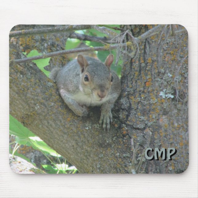 Curious Squirrel in Tree with Your Initials Mouse Mat (Front)