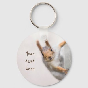Curious squirrel key ring