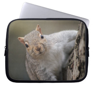 Curious Squirrel laptop sleeve