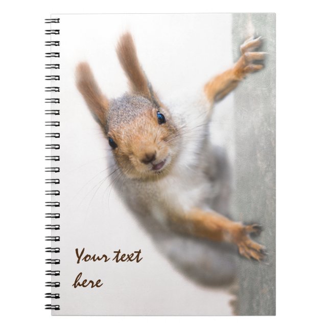 Curious squirrel notebook (Front)