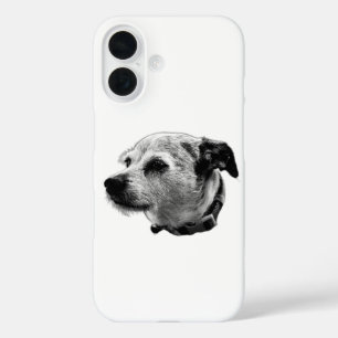 Curious Terrier Mix iPhone Case