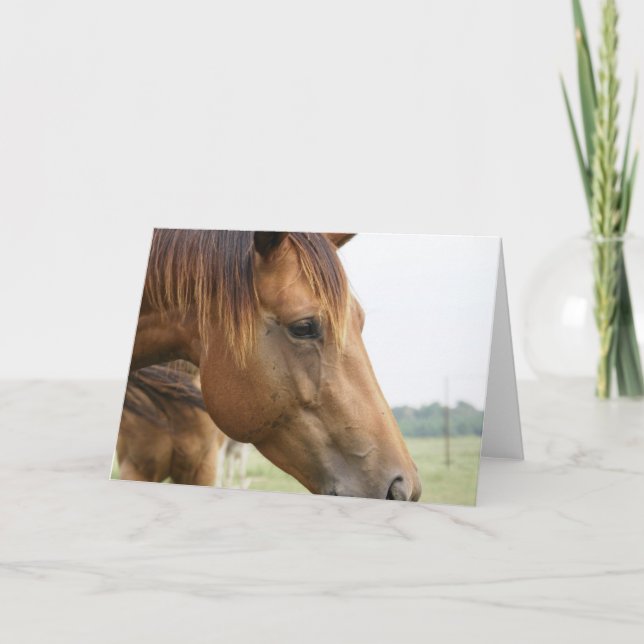 Curious Thoroughbred Greeting Card (Front)