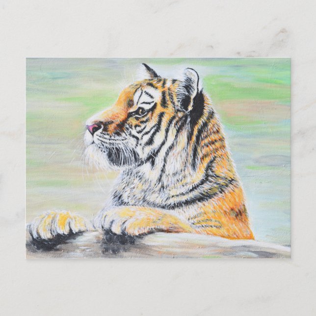 Curious Tiger Painting Postcard (Front)