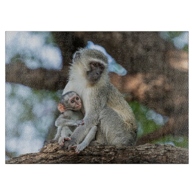 Curious Vervet Monkey – Nature Art Cutting Board (Front)