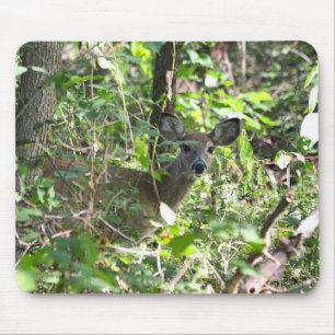 Curious Whitetail Deer Mouse Mat