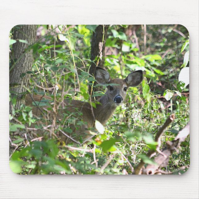 Curious Whitetail Deer  Mouse Mat (Front)