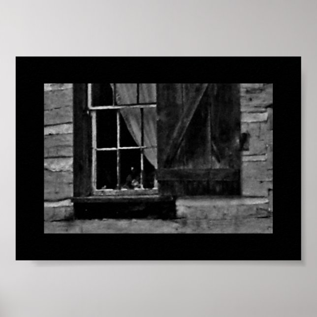 Curious Window Image Poster (Front)