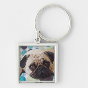 curious young pet key ring