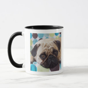 curious young pet mug