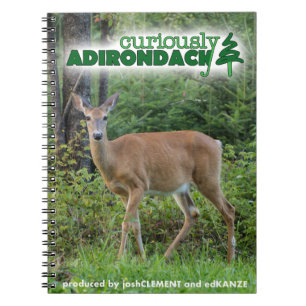 Curiously Adirondack note book (deer)