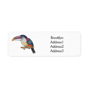 Curl crested aracari bird cartoon illustration