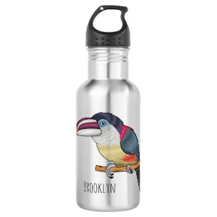 Curl crested aracari bird cartoon illustration  532 ml water bottle