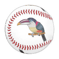 Curl crested aracari bird cartoon illustration 