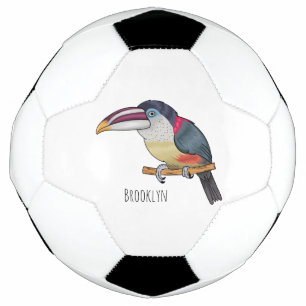 Curl crested aracari bird cartoon illustration  football