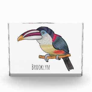Curl crested aracari bird cartoon illustration photo block