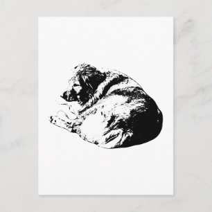 Curled Black Ink Dog Sends Restful Note to All Postcard