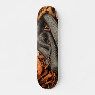 Curled snake skateboard