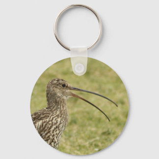 Curlew Key Ring