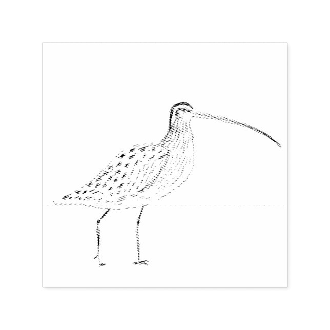Curlew Stamp (Design)