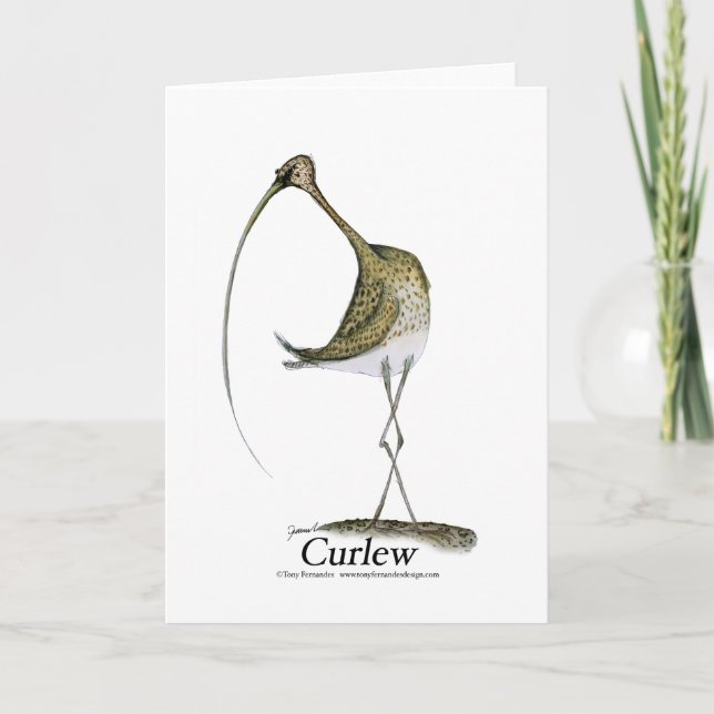 curlew, tony fernandes card (Front)