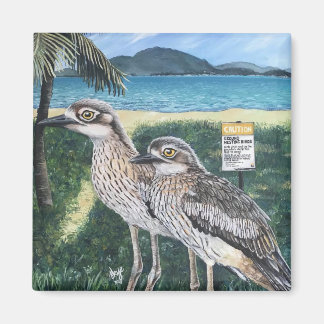 Curlew's of Townsville Strand Magnet