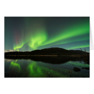 Curling Aurora