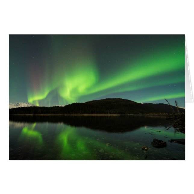 Curling Aurora (Front Horizontal)