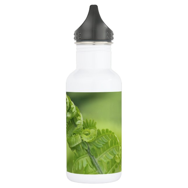 Curling Fern Leaves, Greenery, Blurred Background 532 Ml Water Bottle (Left)
