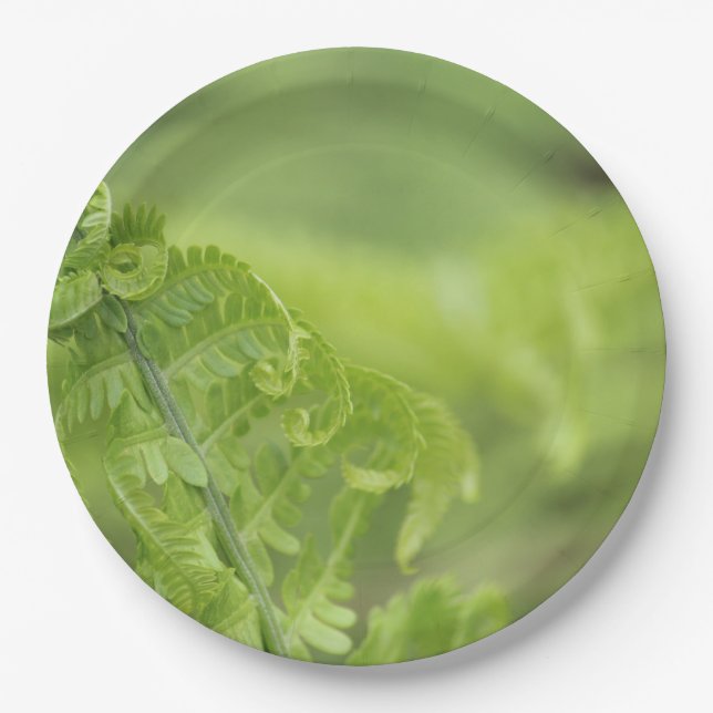 Curling Fern Leaves, Greenery, Blurred Background Paper Plate (Front)