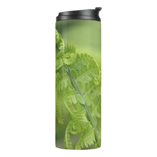 Curling Fern Leaves, Greenery, Blurred Background Thermal Tumbler (Rotated Left)