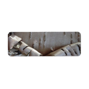 Curly Birch Bark Tree Rustic