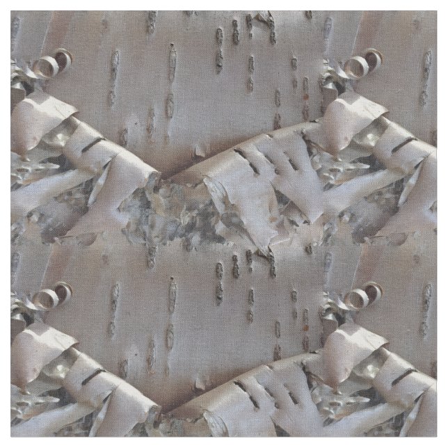 Curly Birch Bark Tree Rustic Fabric (Close Up)