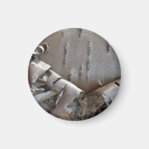 Curly Birch Bark Tree Rustic Magnet