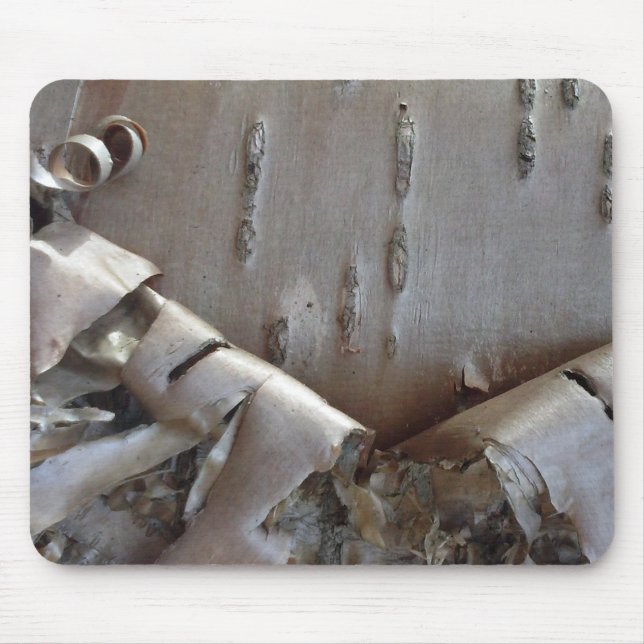 Curly Birch Bark Tree Rustic Mouse Mat (Front)