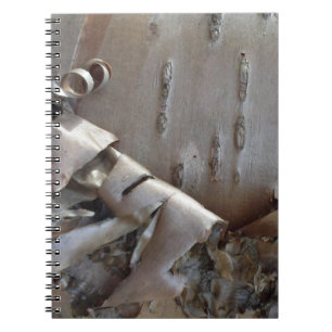 Curly Birch Bark Tree Rustic Notebook