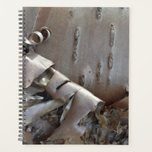 Curly Birch Bark Tree Rustic Planner