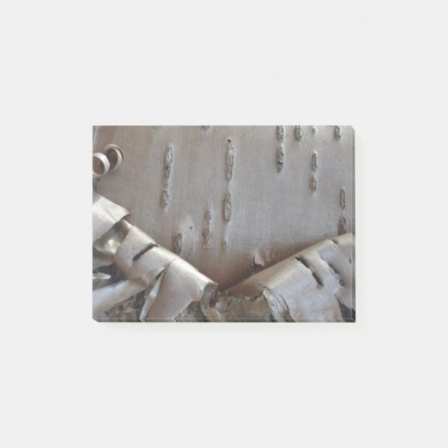 Curly Birch Bark Tree Rustic Post-it Notes (Front)