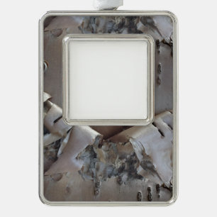 Curly Birch Bark Tree Rustic Silver Plated Framed Ornament