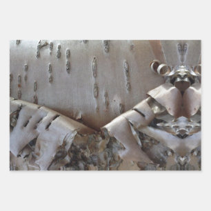 Curly Birch Bark Tree Rustic Wrapping Paper Sheet