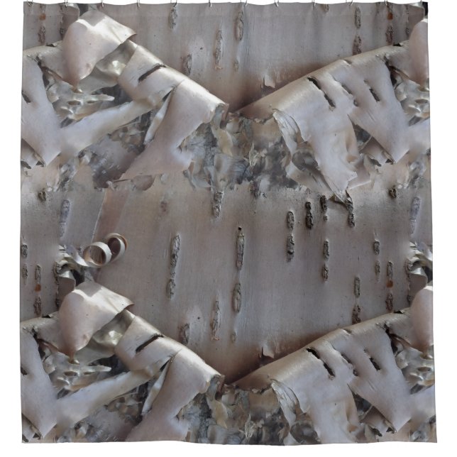 Curly Birch Bark Tree Shower Curtain (Front)