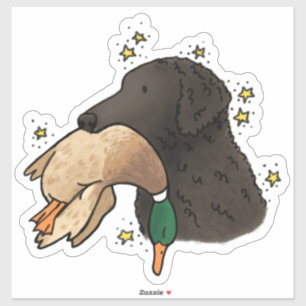 Curly Coated Retriever Car Decal